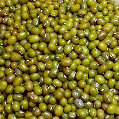 Mung bean thumbnail 2